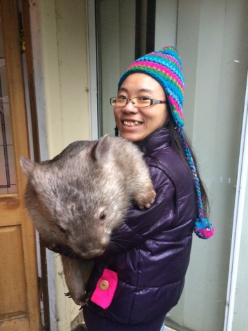 melbourne farm wombat