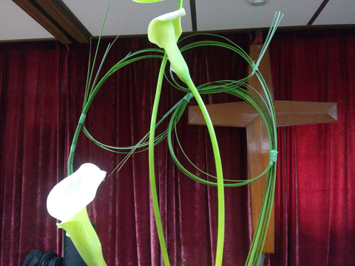 教會插花flower arrangement 馬蹄蘭