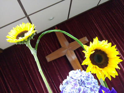 教會插花向日葵